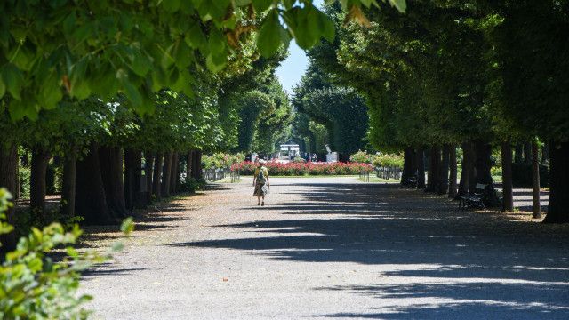 Aufgetischt: Schönbrunn