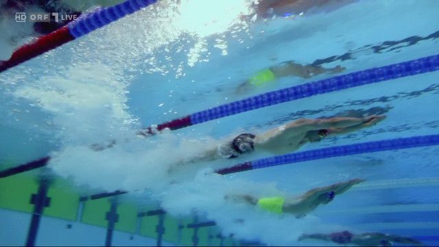 Schwimm-EM 2026 Paris: Tag 1 Vormittag