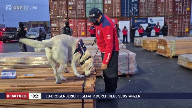 ORF III AKTUELL am Abend vom 09.06.2026