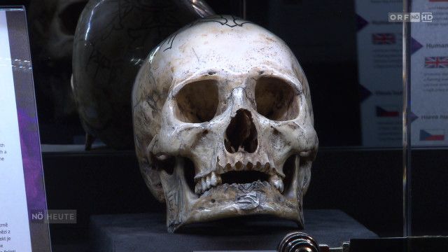 Niederösterreich heute vom 09.04.2026