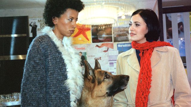 Kult-Serie "Kommissar Rex" (6/15): Nina um Mitternacht