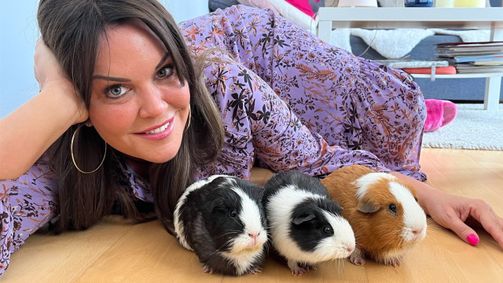 Tierische Augenblicke Tierische Augenblicke Folge 36: Tierische Augenblicke