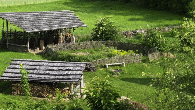 Minze, Mangold, alte Mauern - Gartenlust in Niederösterreich