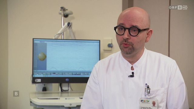 Gesund im Burgenland