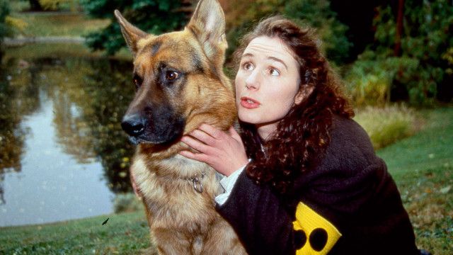 Kult-Serie "Kommissar Rex" (6/15): Die blinde Zeugin