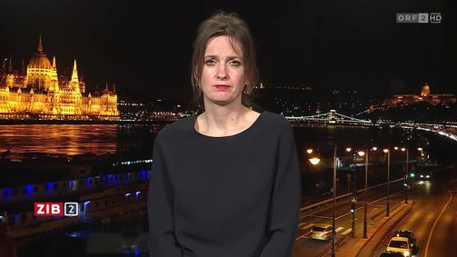 ZIB 2-Interviews ZIB 2-Interviews Folge 42: Langfassung: Interview mit Politologin Melanie Barlai