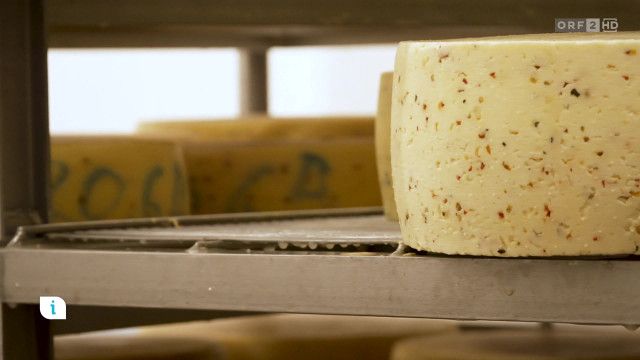 Infos & Tipps: Almkäserei