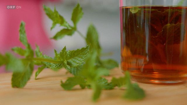 Bewusst Gesund - Das Magazin vom 27.06.2026