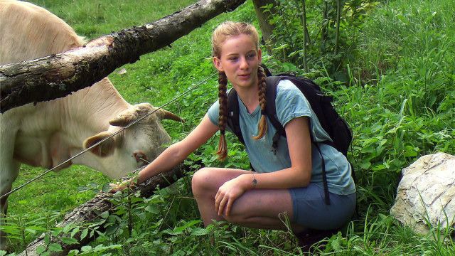 Helmi-Kinder-Verkehrs-Club: Mit der Kuh auf Du