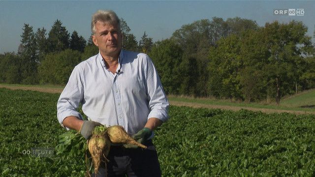 Oberösterreich heute vom 28.09.2026