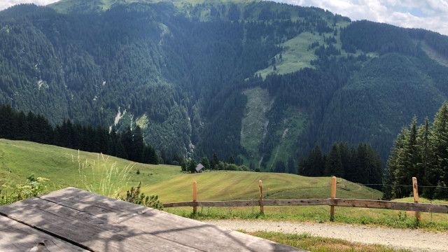 Kitzbüheler Almleben