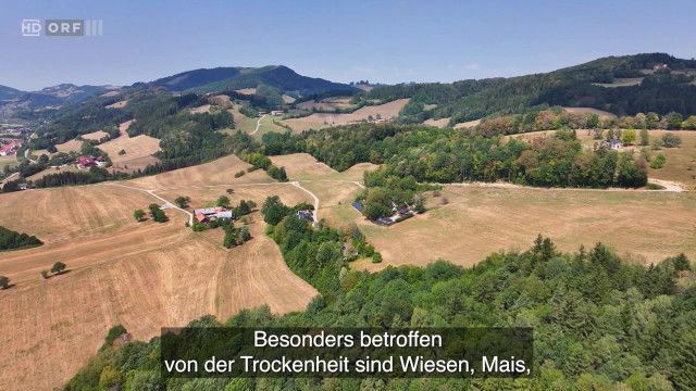Nachrichten in Einfacher Sprache vom 10.08.2026