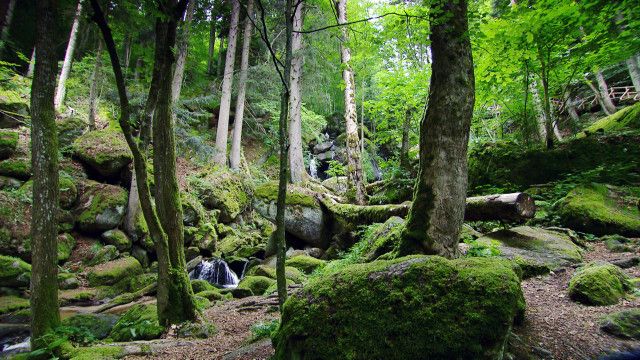 Unser Österreich: Schluchten, Klammen, Wasserfälle - Wilde Wasser in NÖ