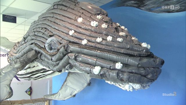 Studio 2 vom 31.03.2026