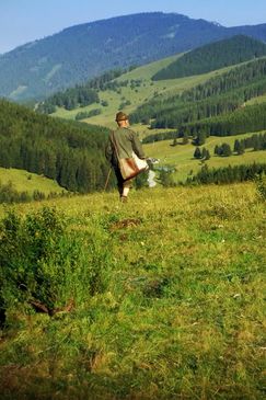 Heimat Österreich