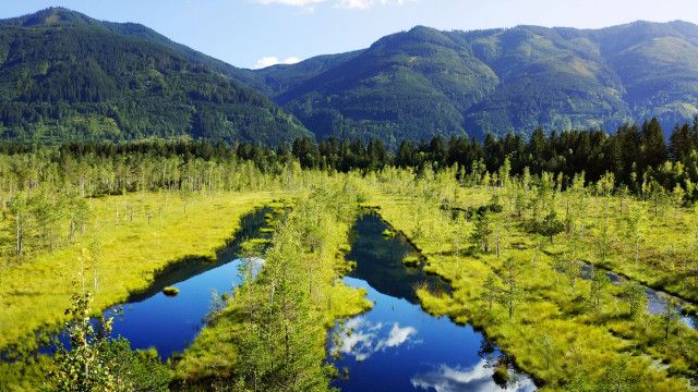 Erlebnis Österreich: Steirische Moore - Zeugen der Eiszeit