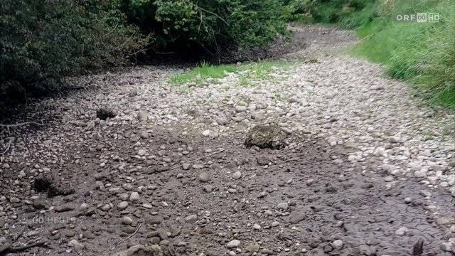 Oberösterreich heute vom 03.06.2026