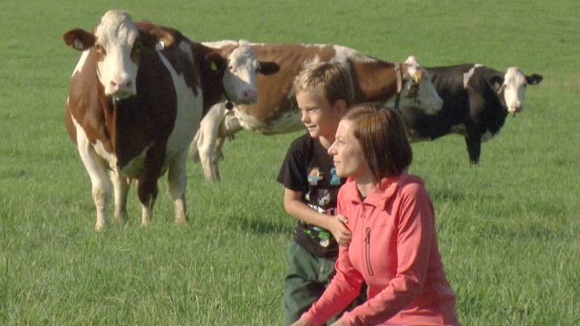 Wo Bio zu Hause ist - Die Heumilchregion im Salzburger Seenland