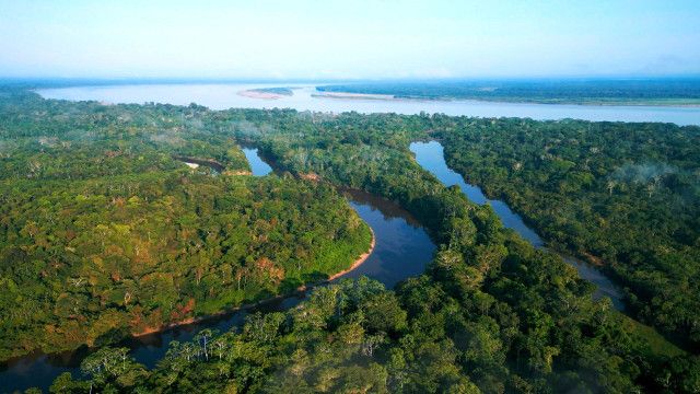 Amazonien: Expedition in den Regenwald