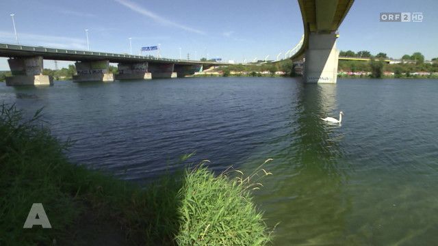 Aktuell nach fünf vom 22.07.2026