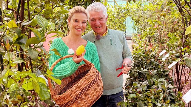 G'sund in Österreich: Grün als Kraftquelle