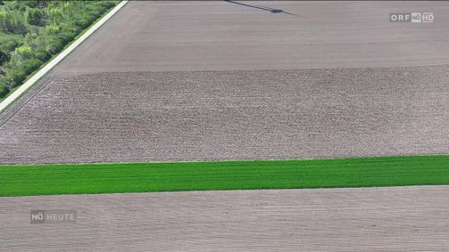 Niederösterreich heute Niederösterreich heute Folge 1097: Niederösterreich heute vom 24.04.2026