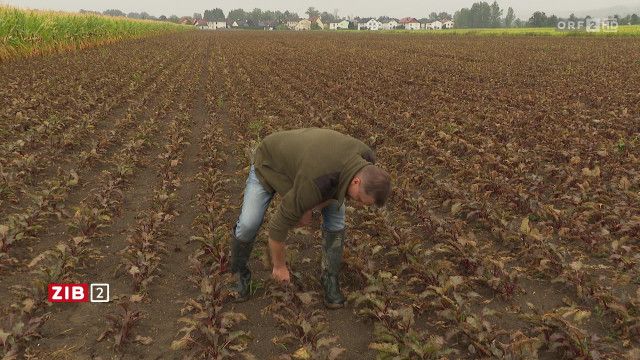 ZIB 2 vom 18.08.2026