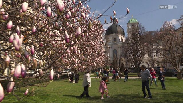 Salzburg heute vom 20.03.2026