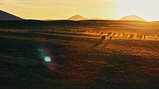 Universum Spezial: Das große Herz Amerikas - Die Great Plains