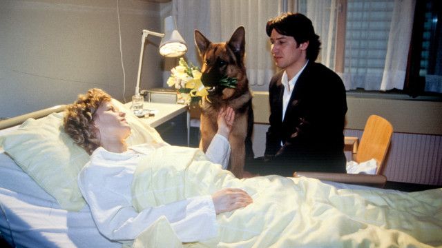 Kult-Serie "Kommissar Rex" (8/14): Amok