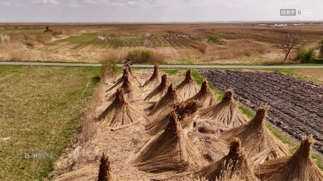Burgenland heute vom 11.04.2026