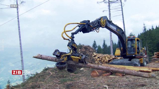 ZIB Flash 4 vom 02.04.2026