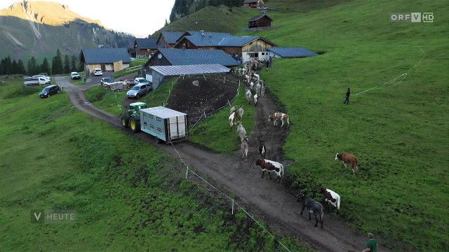 Vorarlberg heute vom 12.08.2026