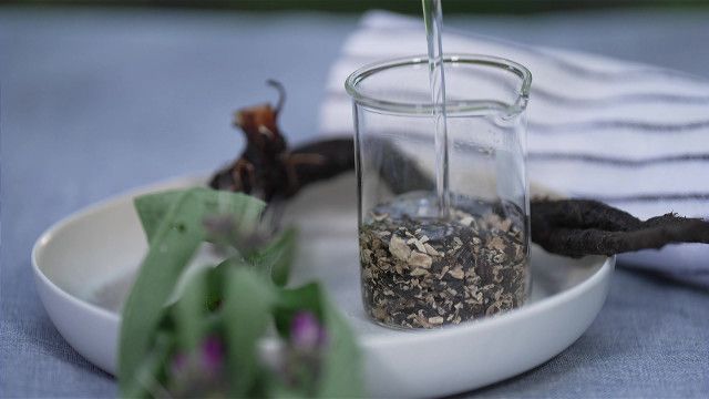 Gesund in Salzburg
