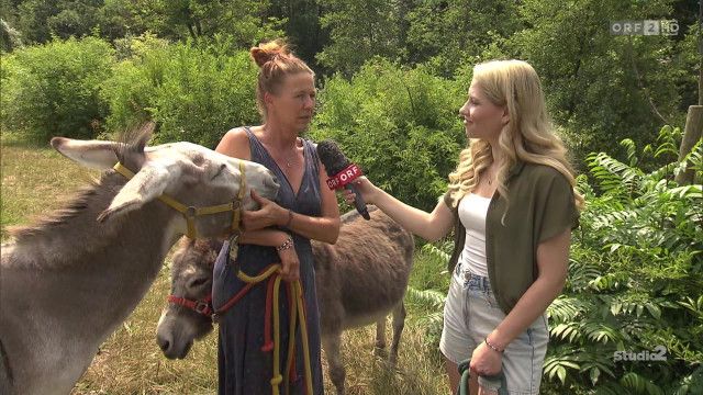 Studio 2 vom 20.07.2026