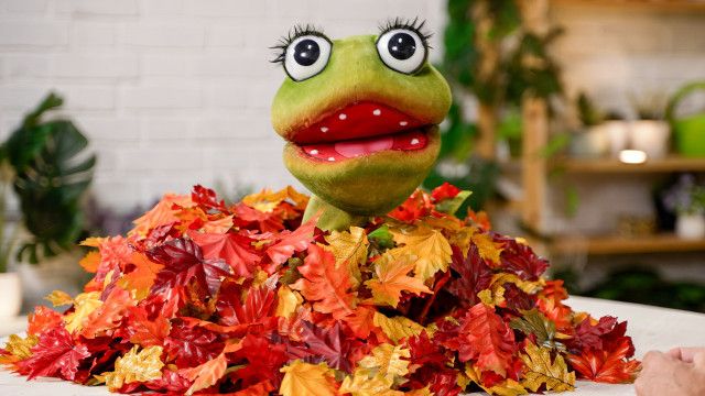 Die Gartenpiraten: Bunte Blätter