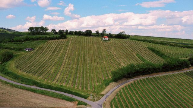 Vom Sonnenberg zum Goldberg - Wandern am Bernsteintrail