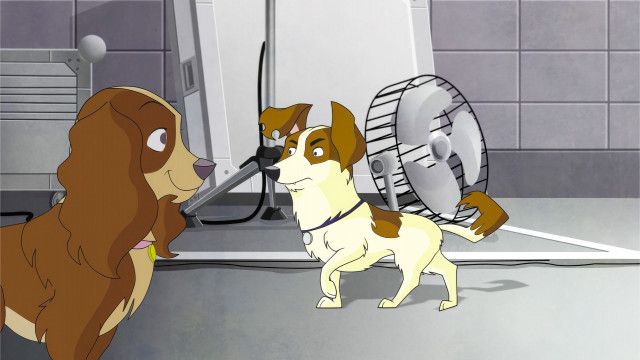 4 1/2 Freunde: Eine rätselhafte Hundedame