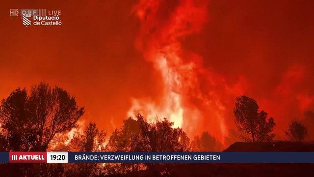 ORF III AKTUELL am Abend vom 27.07.2026