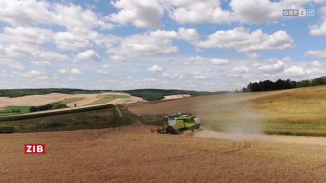 ZIB 7:00 vom 06.08.2026