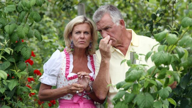Soko Kitzbühel (10/13): Geheime Genüsse