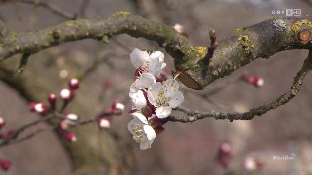 Studio 2 vom 25.03.2026