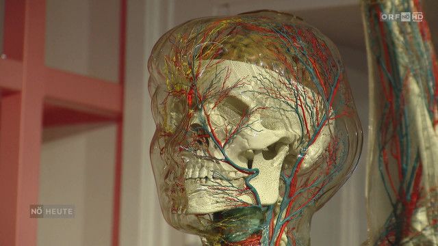 Niederösterreich heute vom 27.03.2026