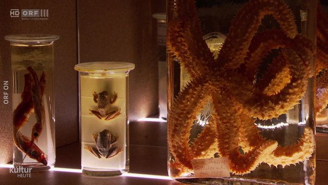 Kultur Heute vom 29.04.2026