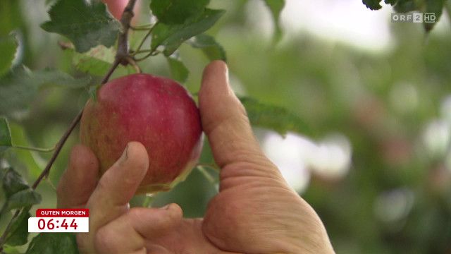 Guten Morgen Österreich vom 24.09.2026