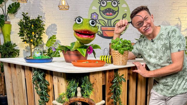 Die Gartenpiraten: Nützlinge