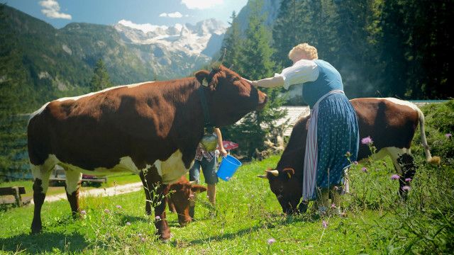Frühsommer im Salzkammergut
