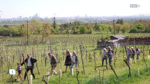 infos & tipps infos & tipps Folge 523: Infos & Tipps: Riedenwanderung