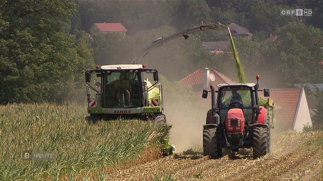 Burgenland heute vom 31.07.2026