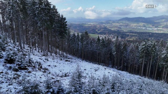 Salzburg heute vom 21.03.2026